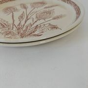 A pair of vintage plates with a rust-brown thistle design – 1950s.