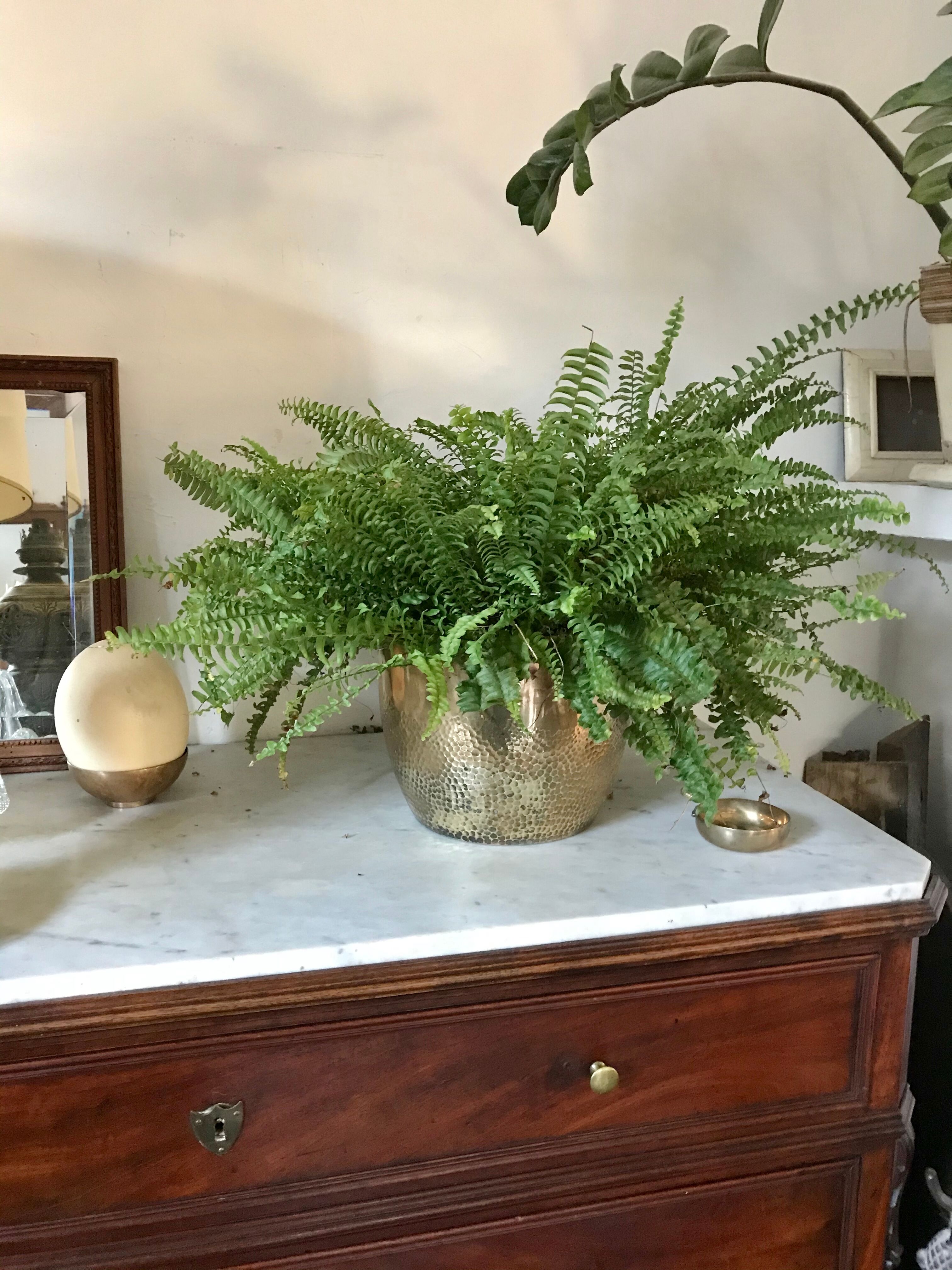 Vintage brass pot cover