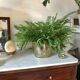 Cache-pot vintage en laiton