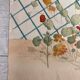 Vintage Watercolor