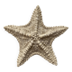 Large natural knotted starfish