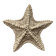Large natural knotted starfish