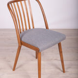 Dining Chairs by Antonín Šuman for Ton, 1960s, Set of 4
