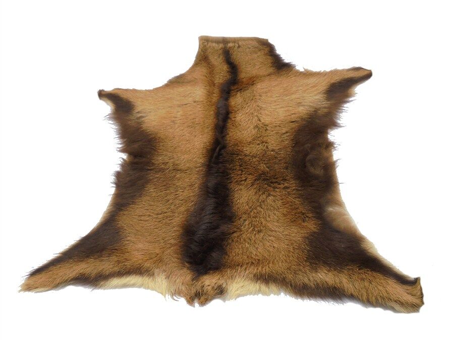 Goat skin