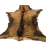 Goat skin