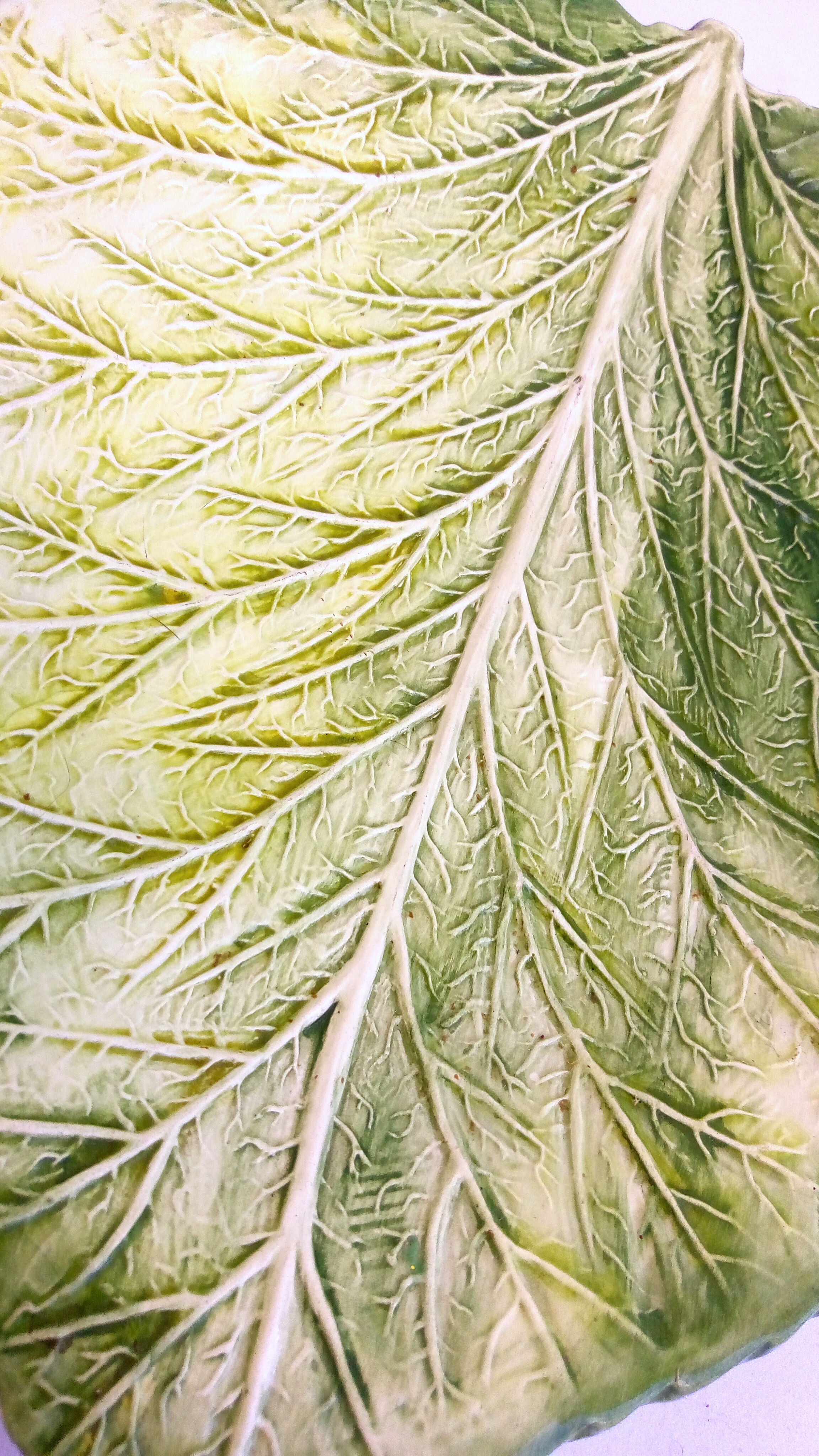 Green dabded leaf dish