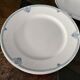 5 flat plates diameter 24.5 cm .villeroy and Boch