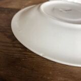 Vintage set of 5 Anemones flower cups and saucers