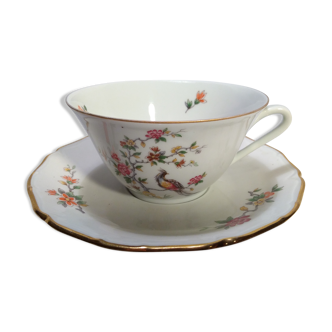 Porcelain cup of Limoges