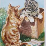 Zoological poster - gray and red tabby kittens