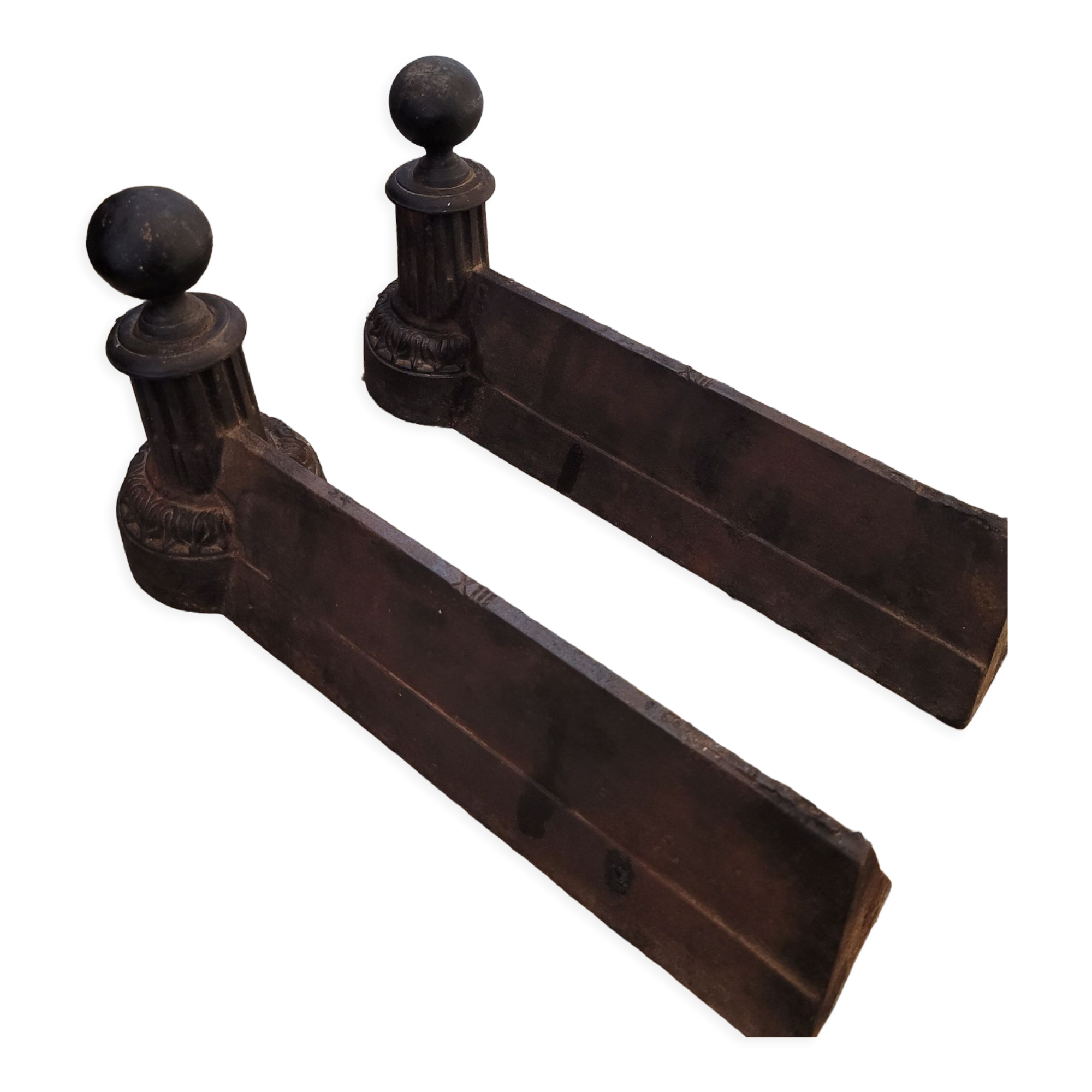 Beautiful pair of caterpillars