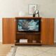 Rare TV sideboard from the 1960s, teak veneer, Denmark