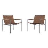 Paire de fauteuils 'SZ01' par Martin Visser pour 't Spectrum, 1960