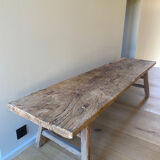 Old bench in elm