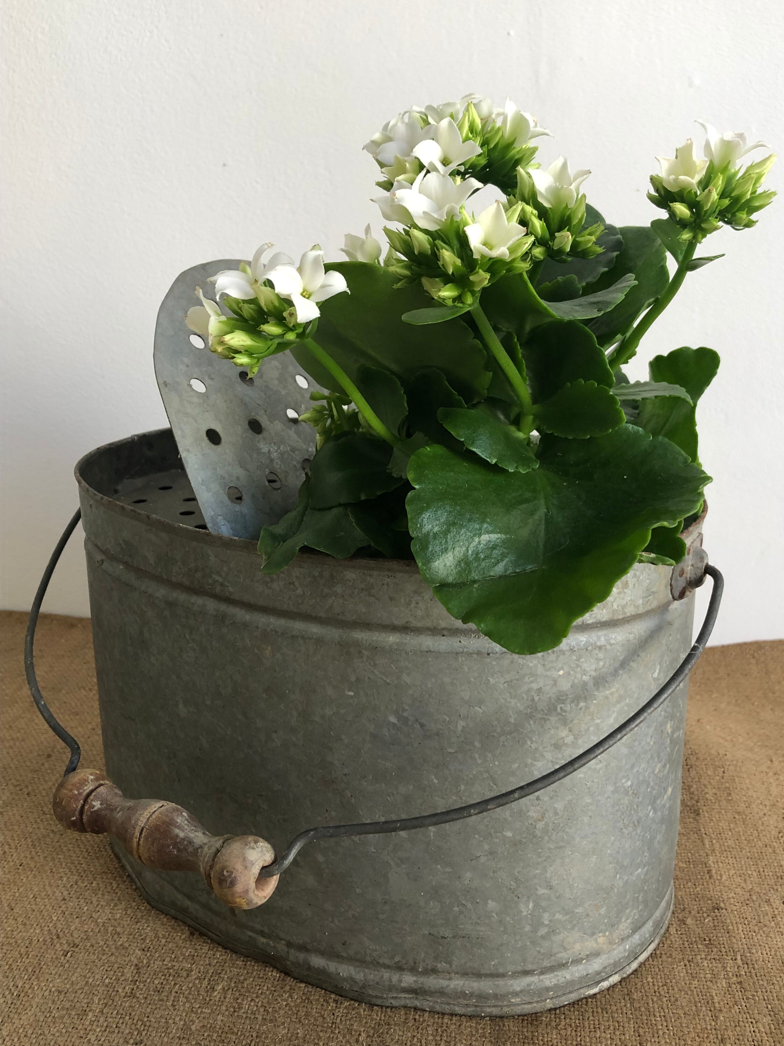 Old zinc stud, fisherman's live bucket