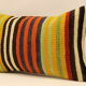 Throw Pillow, Cushion Cover 30x50 cm