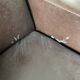 Set of 2 50s armchairs