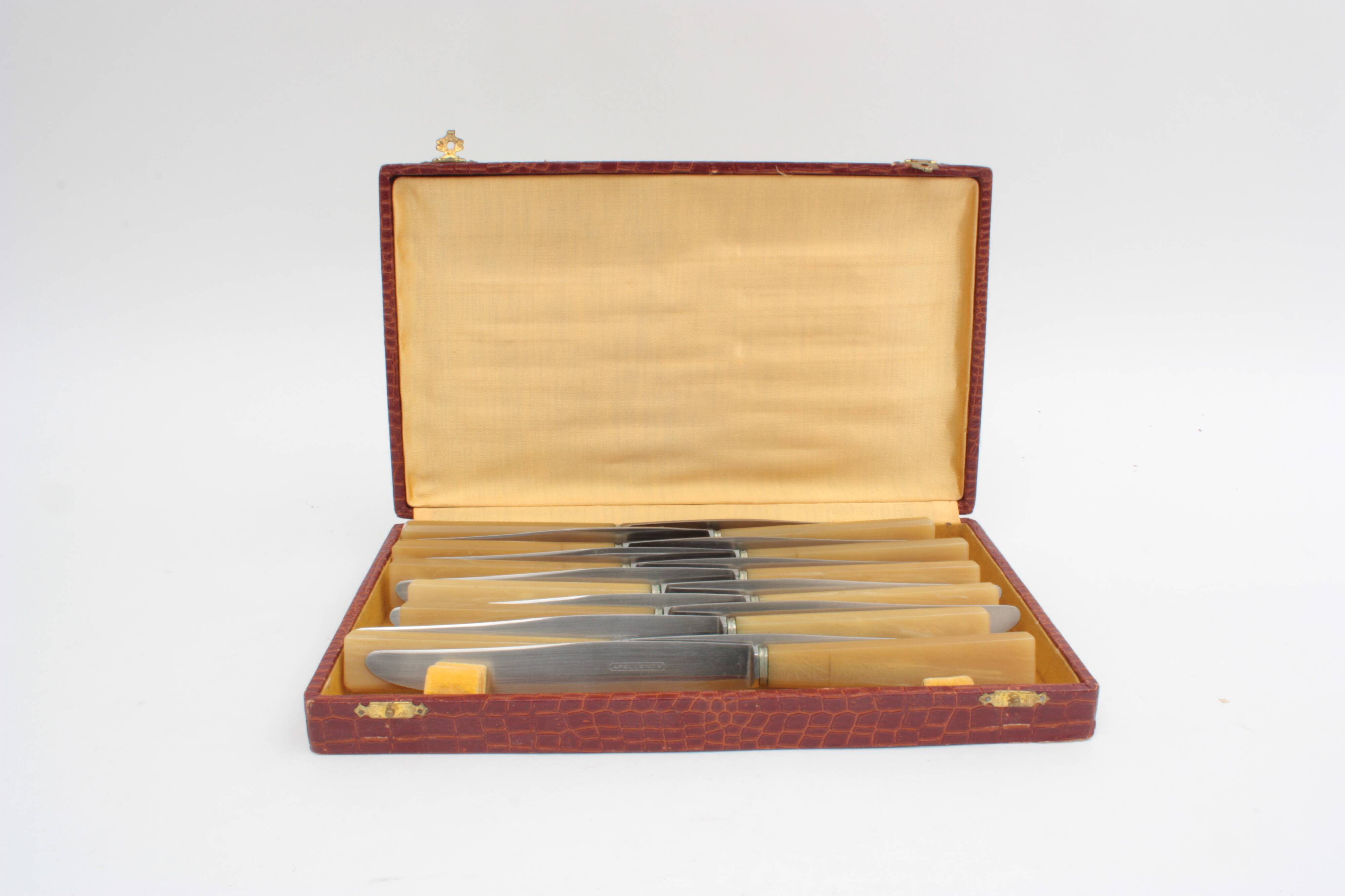 Box of 12 Apollonox knives