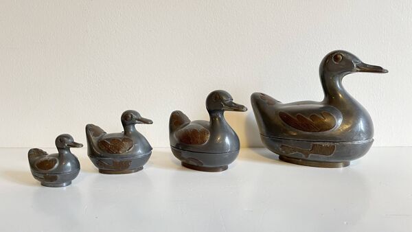 Famille CANARDS Vintage