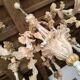 Florentine chandelier in carved wood with polychrome patina.