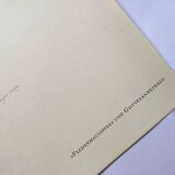 Vintage illustration - Pomegranate and insects - by Merian