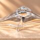 Monumental Daum French crystal bowl / centerpiece 79cm