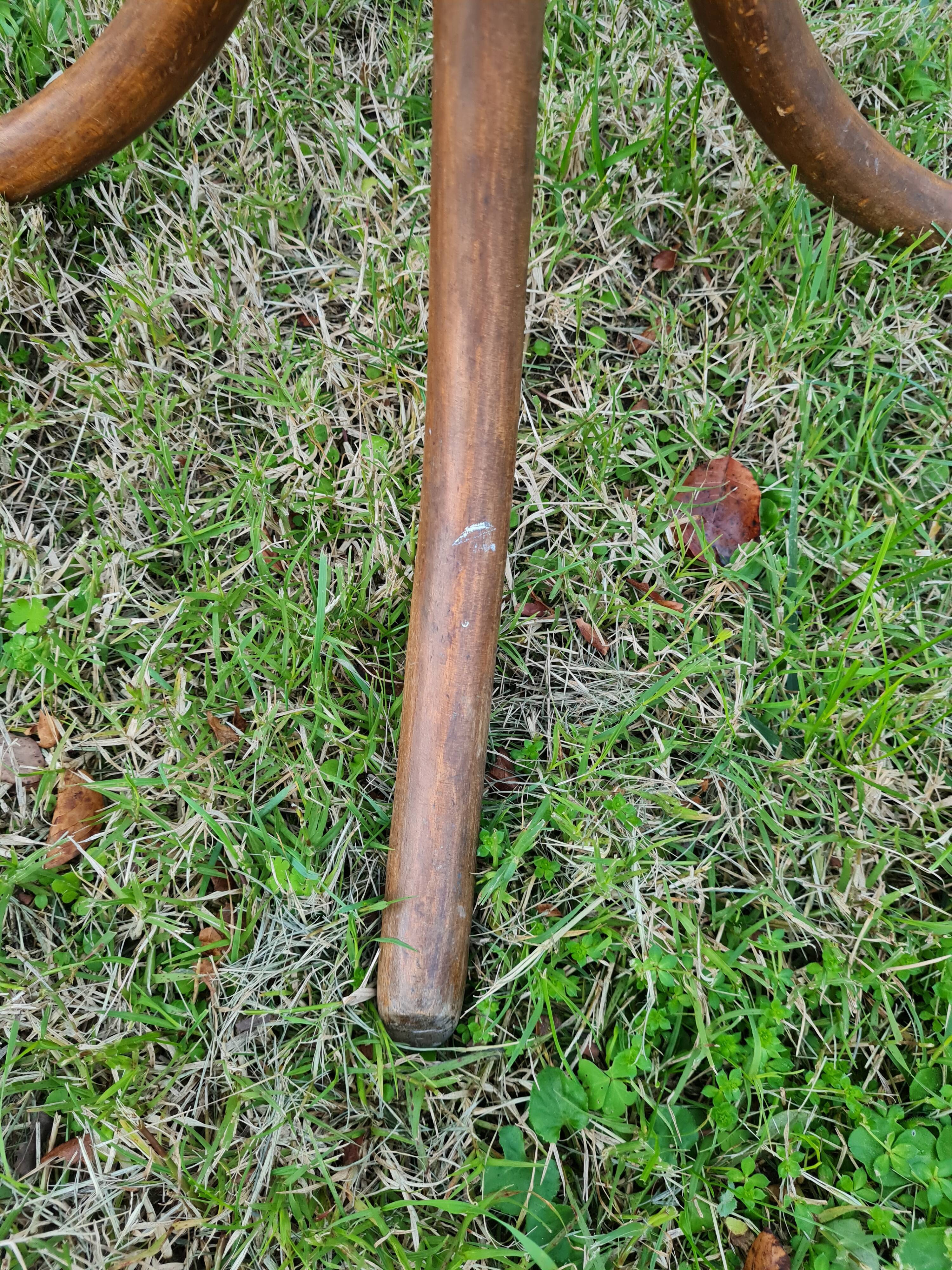 Vintage parrot coat rack