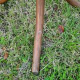 Vintage parrot coat rack