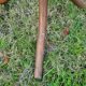 Vintage parrot coat rack
