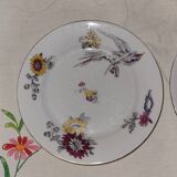 4 porcelain dessert plates - old - vintage