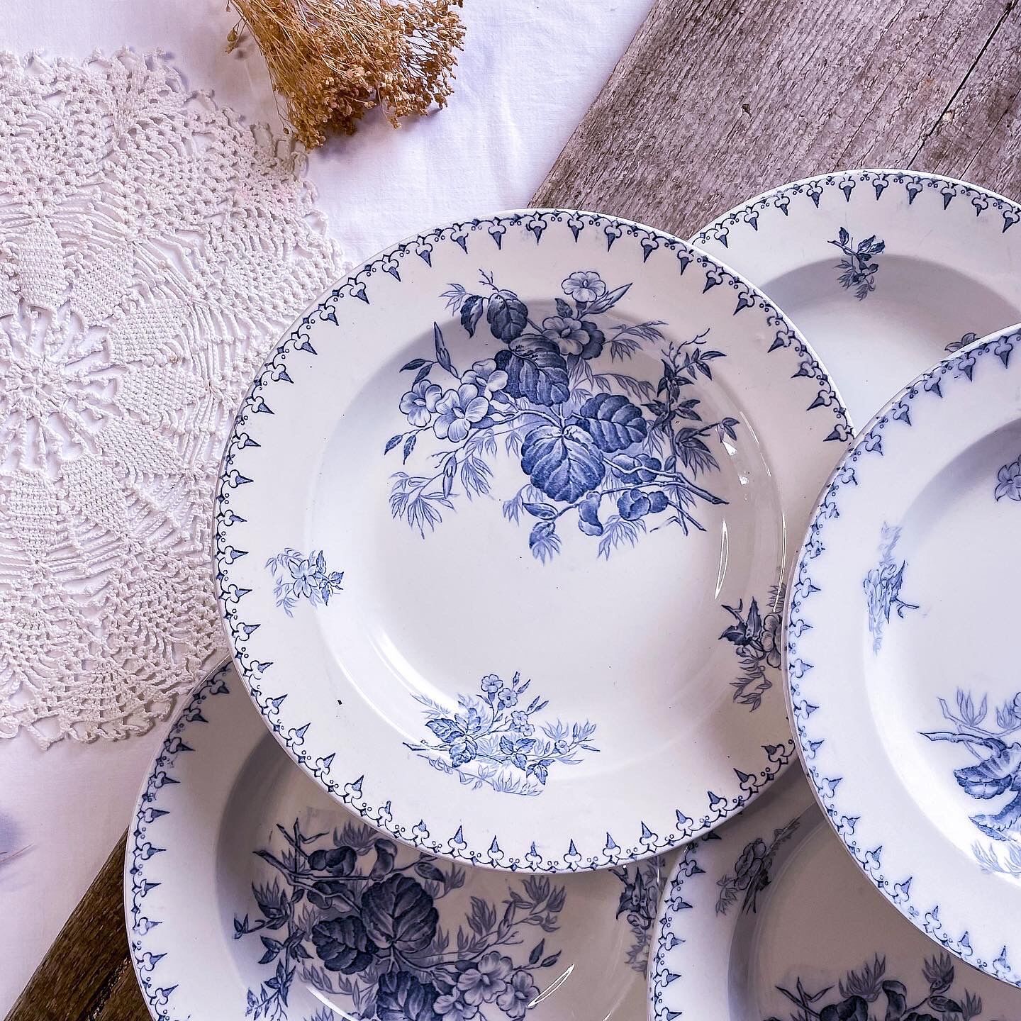 6 hollow plates iron earth model Flora