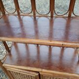 Canned bamboo library