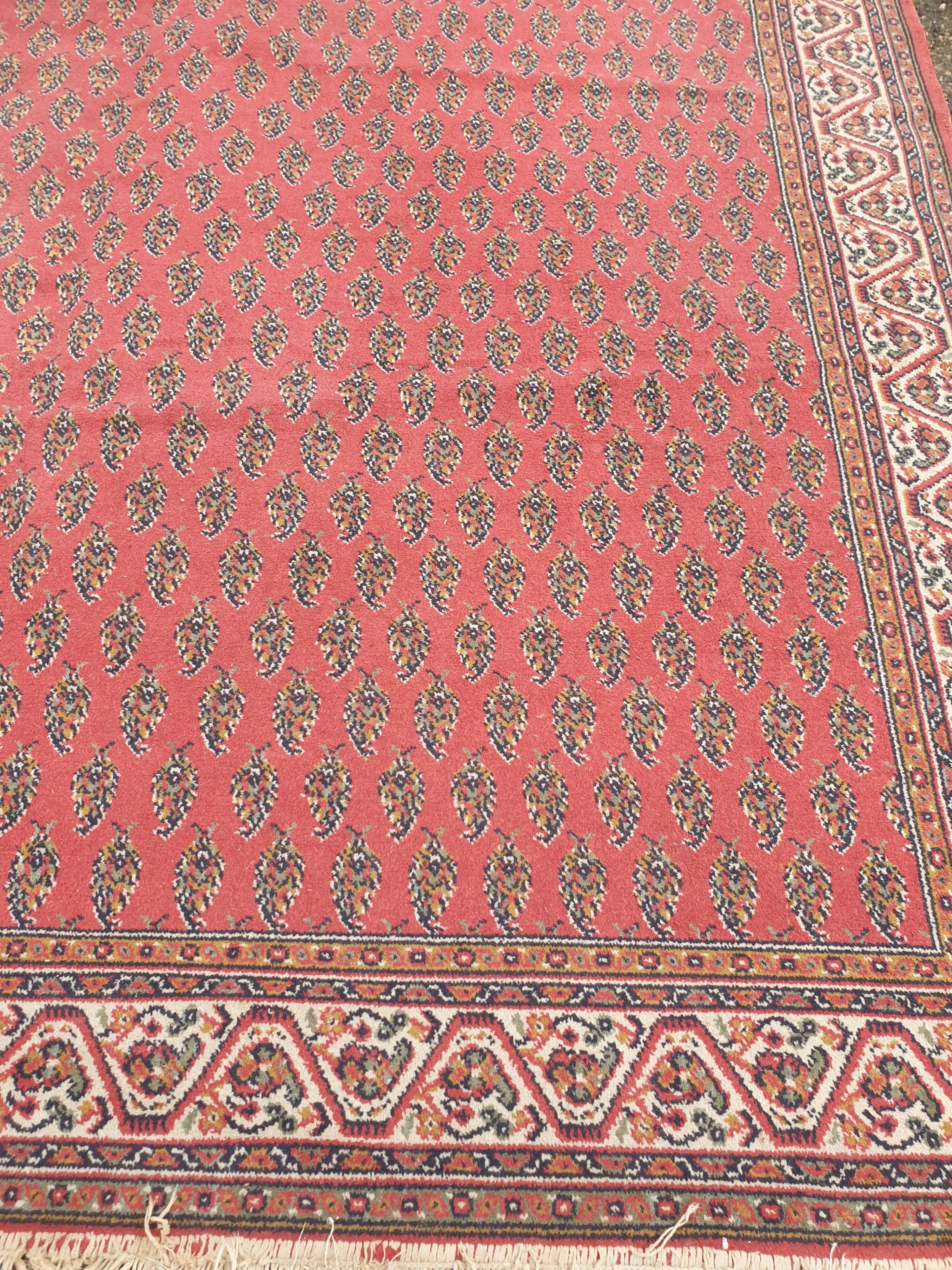 Large oriental wool carpet