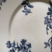 Flat plates Sarreguemines Iron Earth model Blue favorite