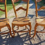 6 Old Straw Chairs in Fruit Tree