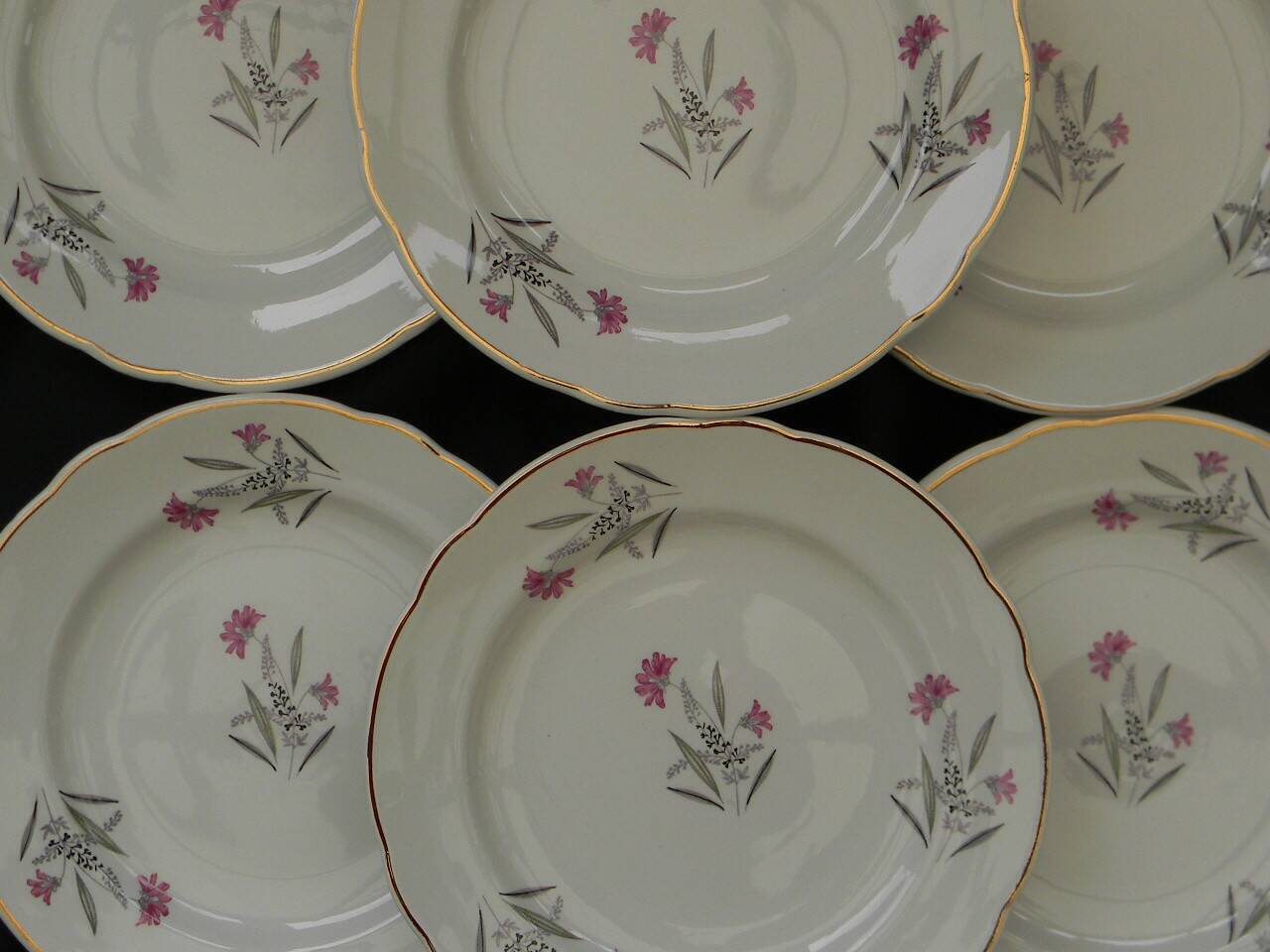 6 dessert plates in earthenware from SARREGUEMINES. DAMPIERRE model.