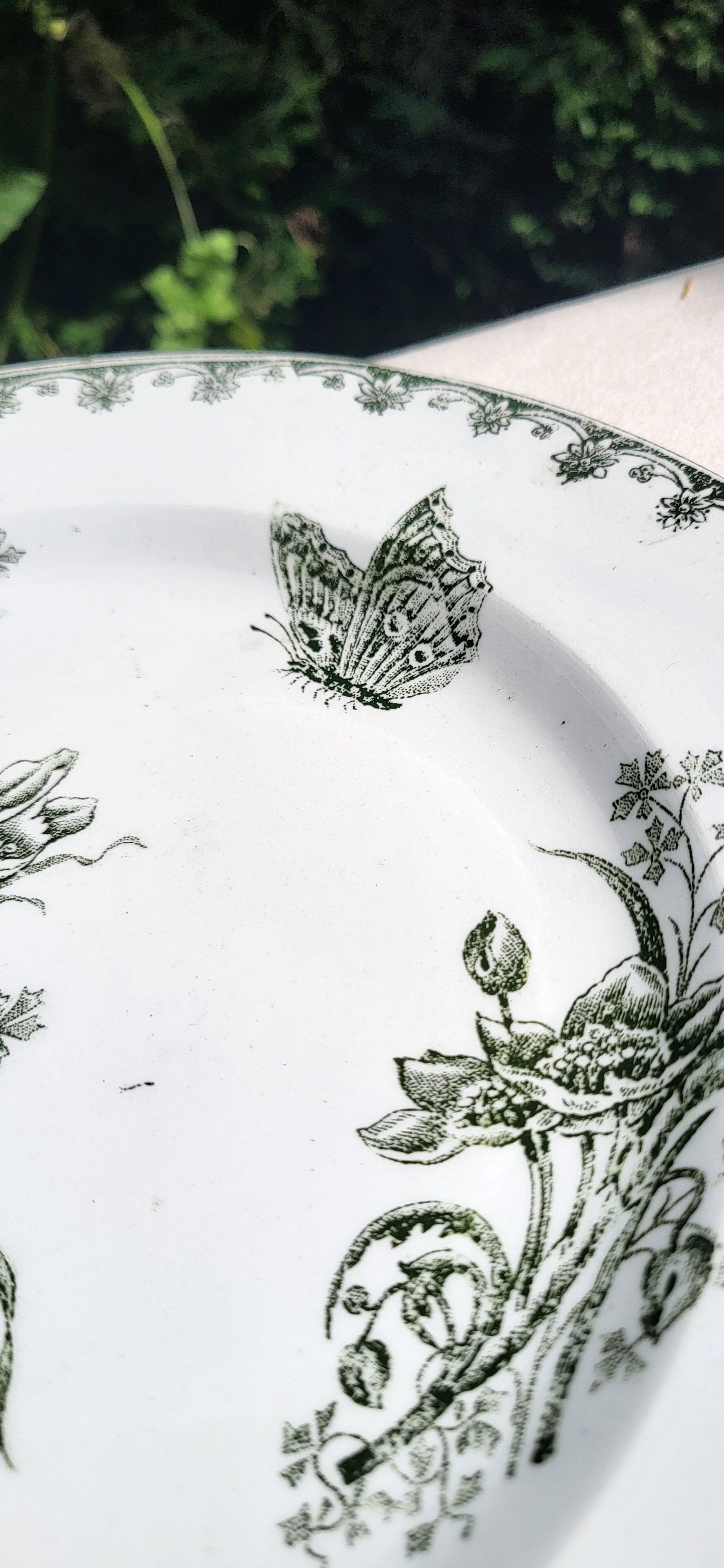 Set of 6 iron terrestrial plates model Nancy