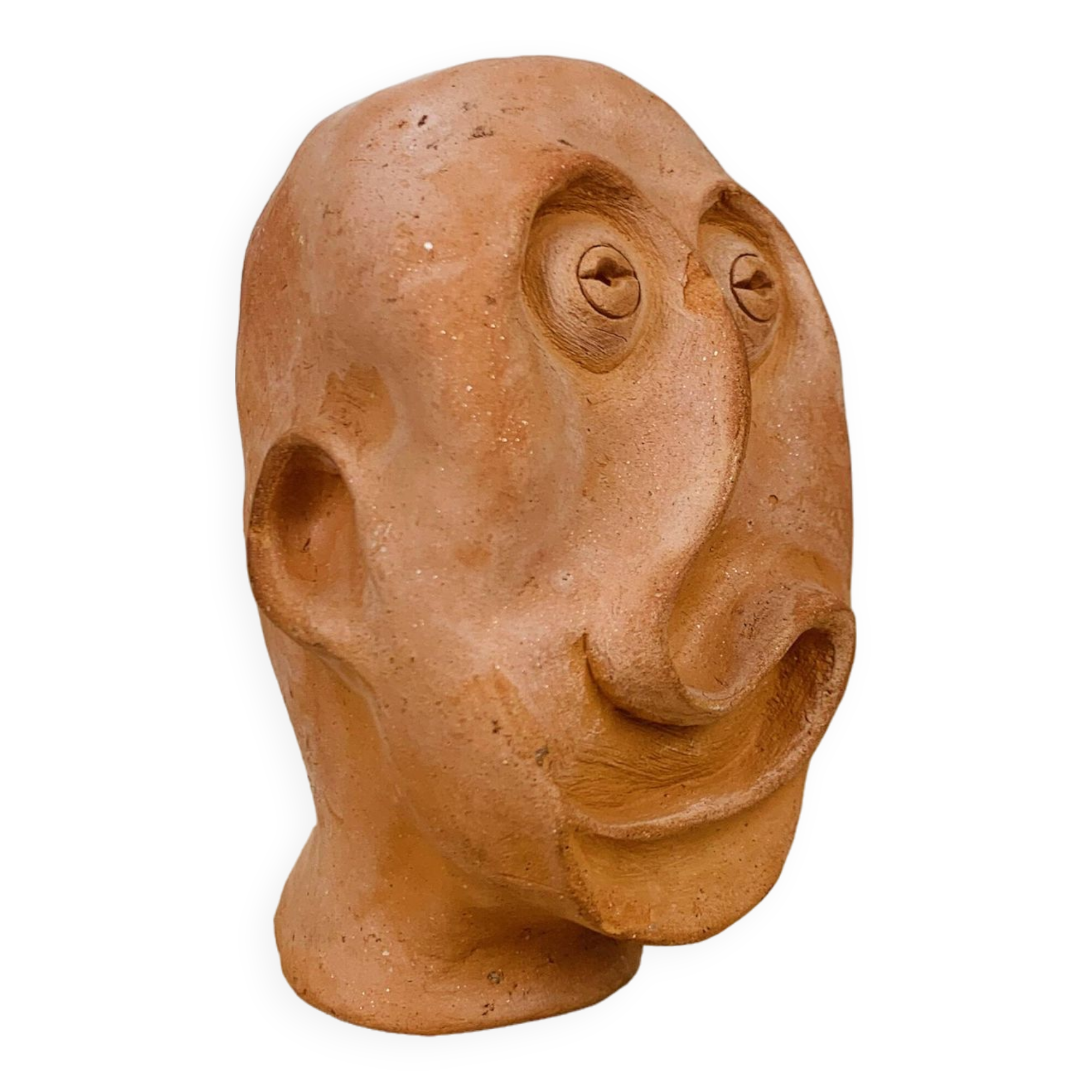 Terracotta head/bust, object of curiosity