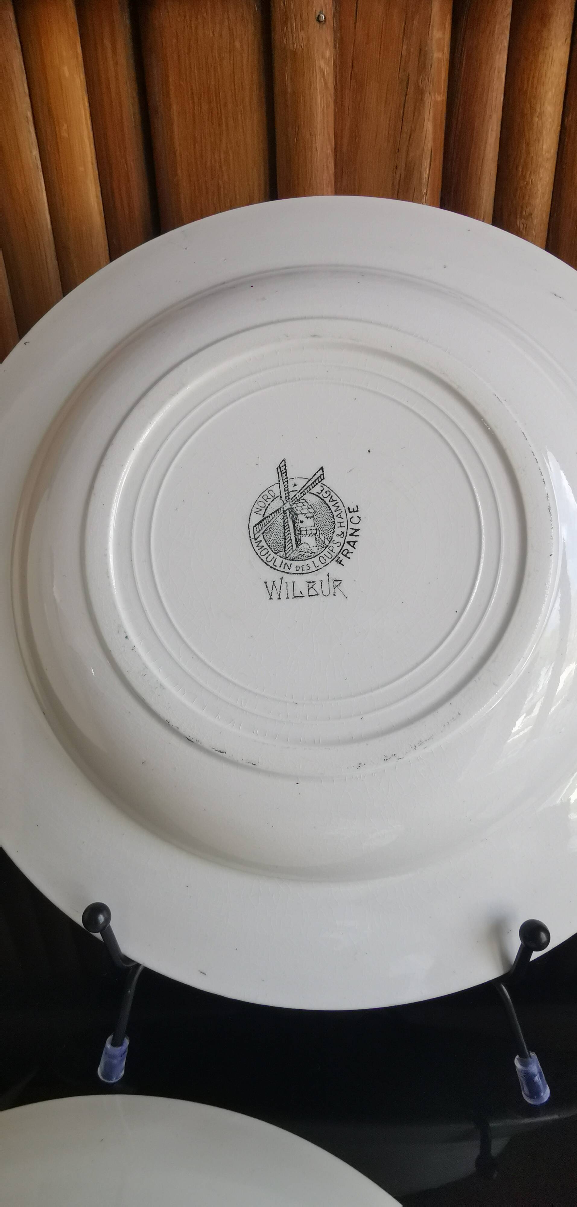 6 old mismatched deep plates Terre de Fer, glass and blue colors