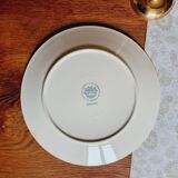 Set of 6 Villeroy&Boch Paradiso defect plates