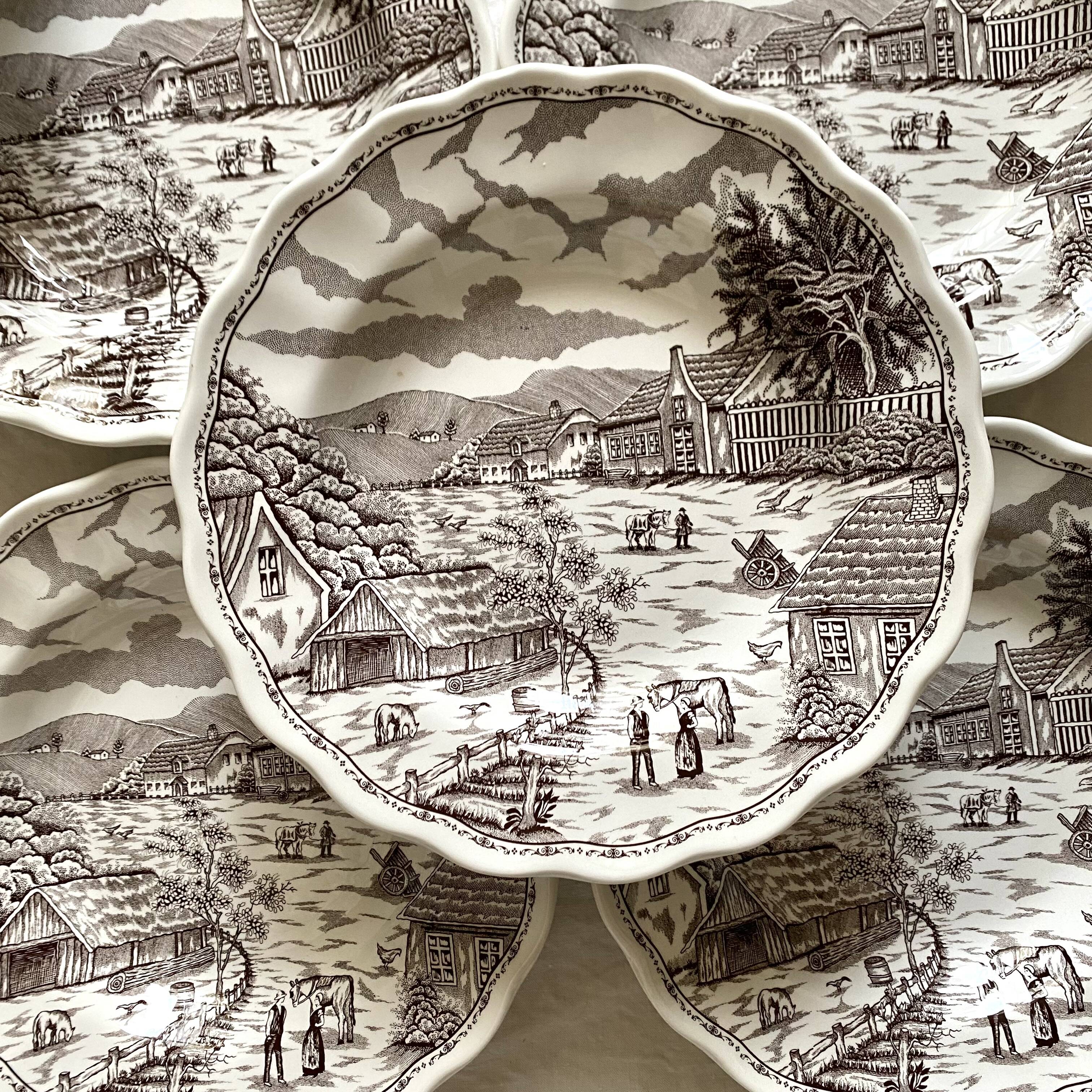 Swiss landscape Italy 25-piece dinner and soup plates