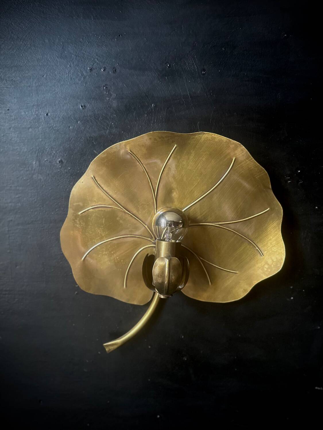 Water lily wall light