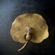 Water lily wall light