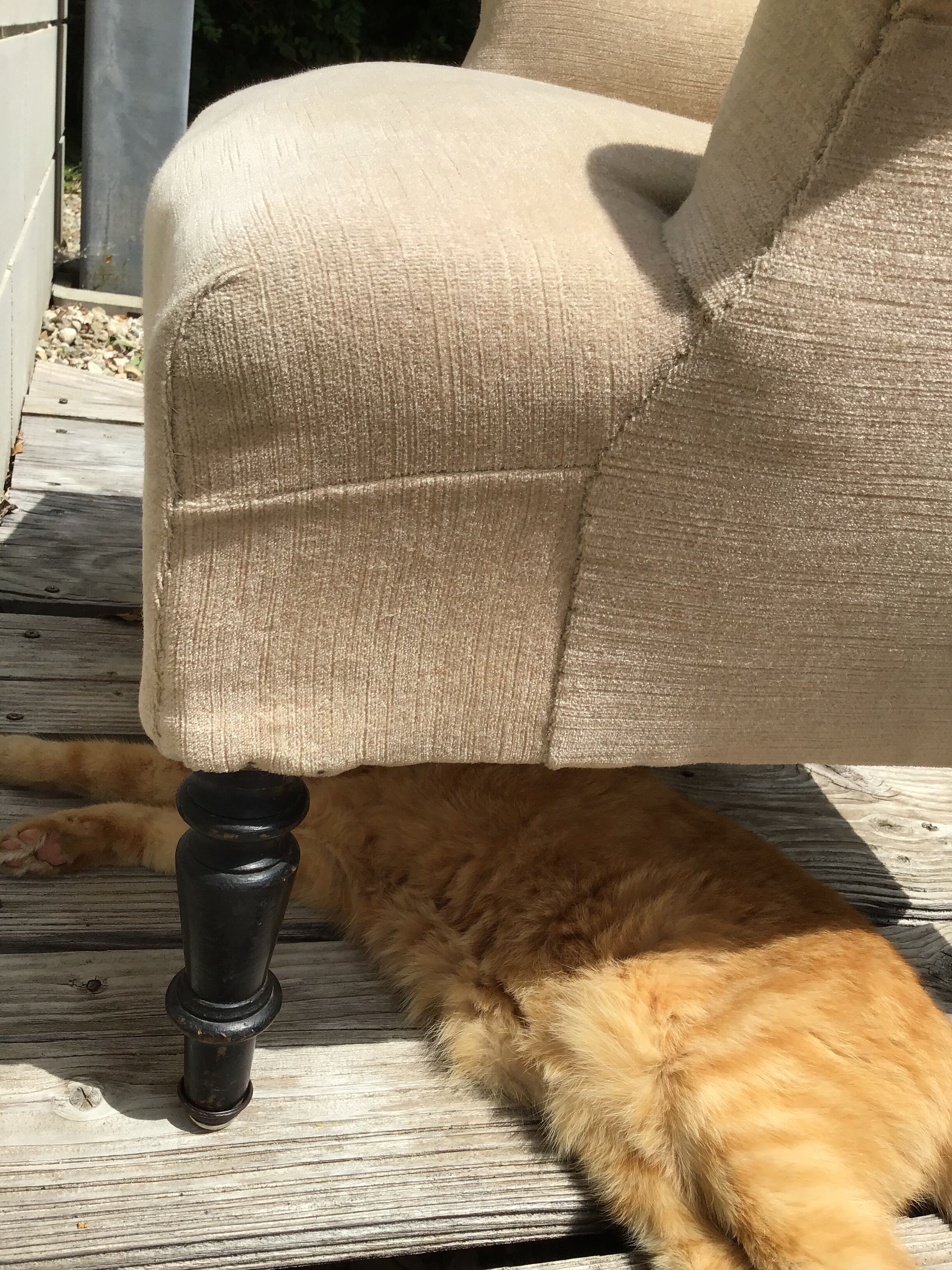 Napoleon lll armchair