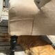 Napoleon lll armchair