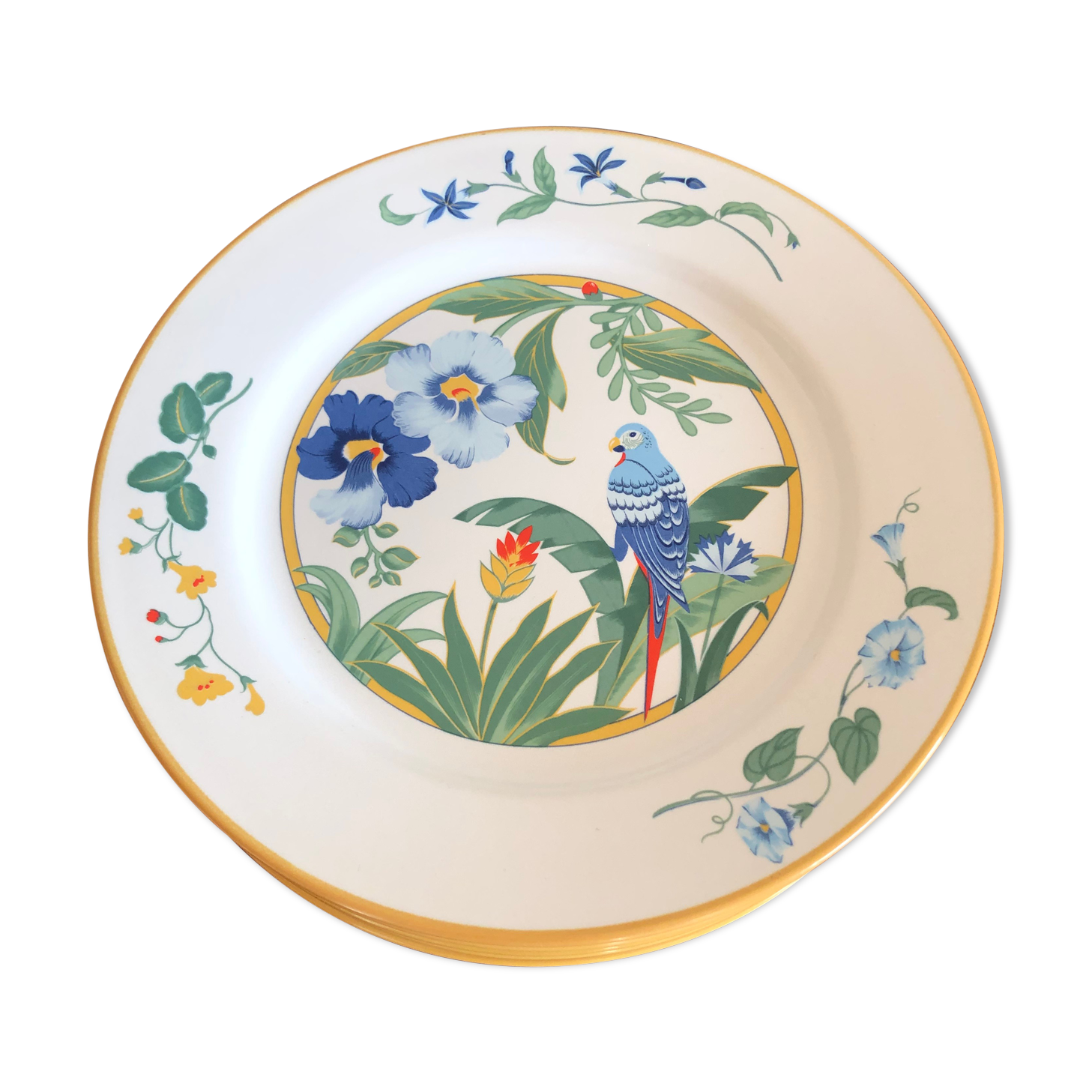 6 plates Pier Import décor ARA Parrot