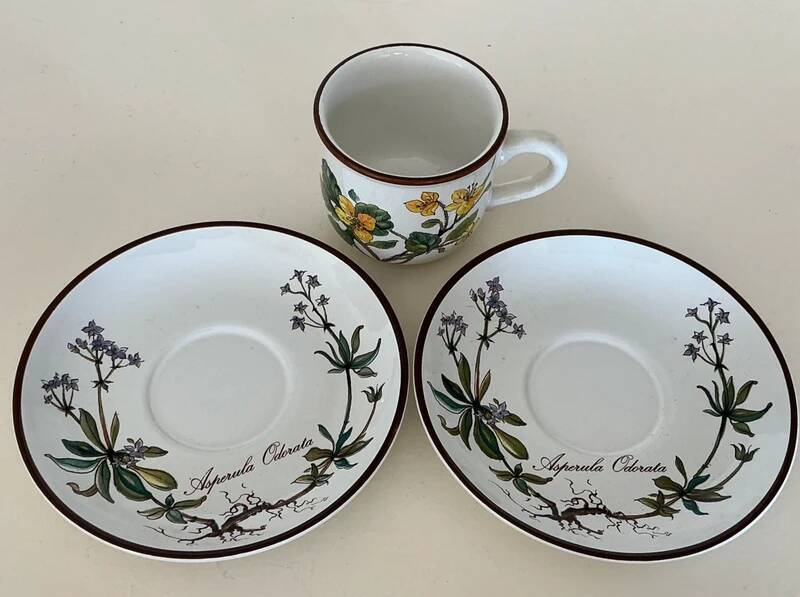 Cup Chelidonium Majus & Saucer Asperula Odorata - Villeroy & Boch Botanica
