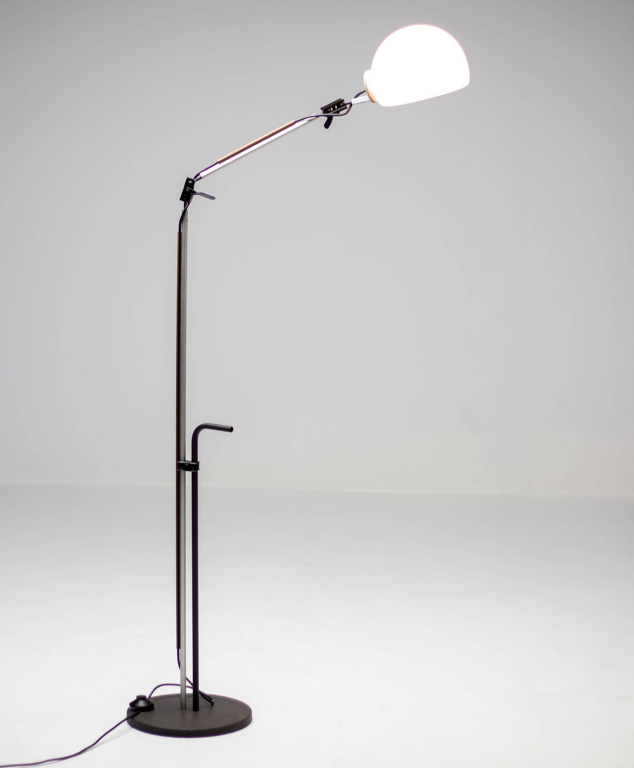 Enzo Mari G. Fassina Aggregato Floor Lamp Artemide Italian Design