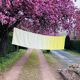 Belgian Linen Tablecloth Embroidered, Yellow Tyedie