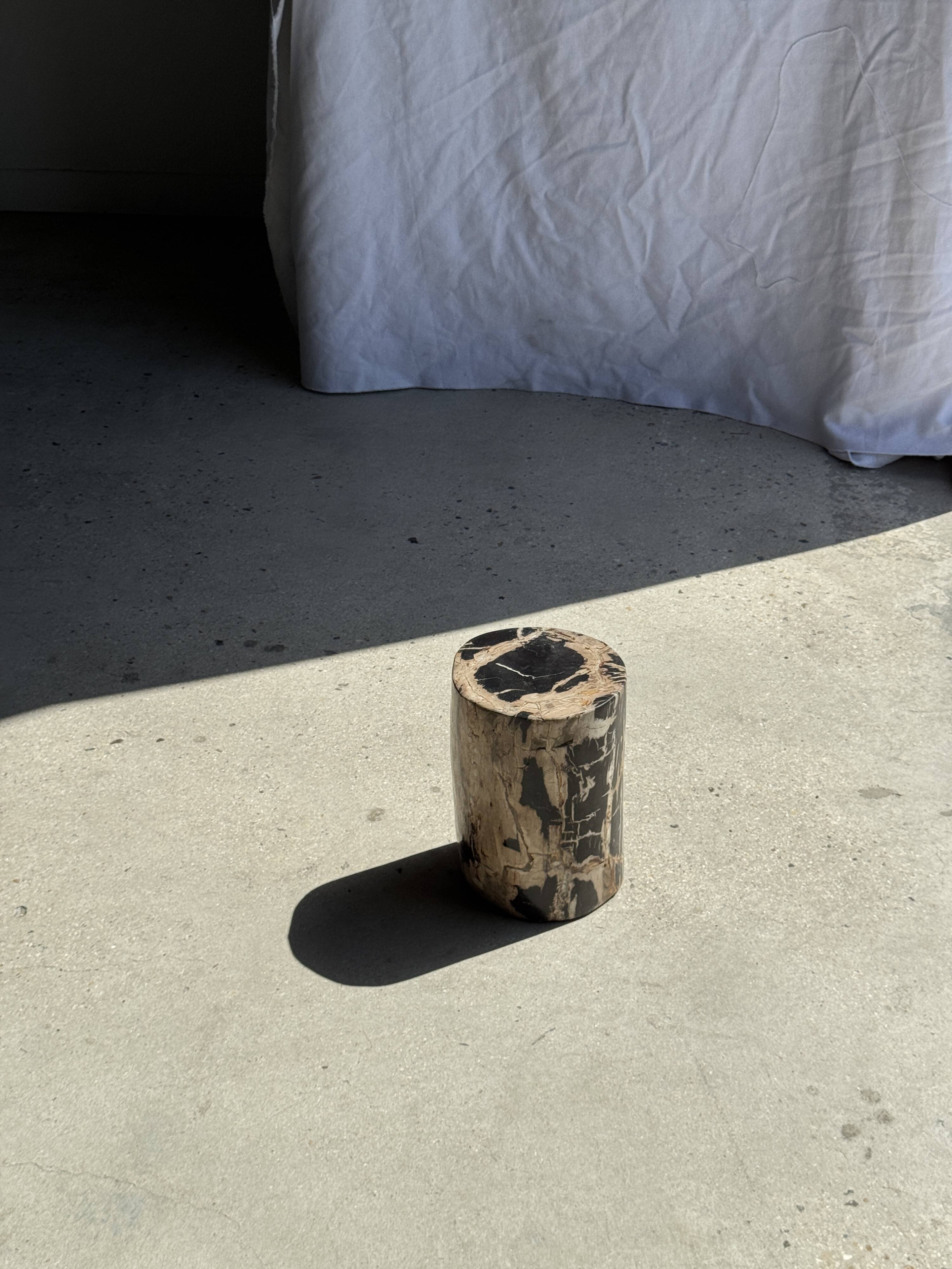 Petite table d'appoint en bois pétrifié cœur noir écorce stries noires et b